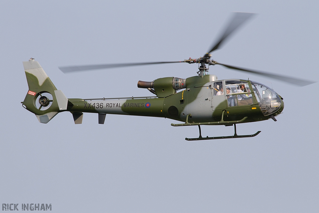 Westland Gazelle HT2 - XX436/G-ZZLE - Royal Marines