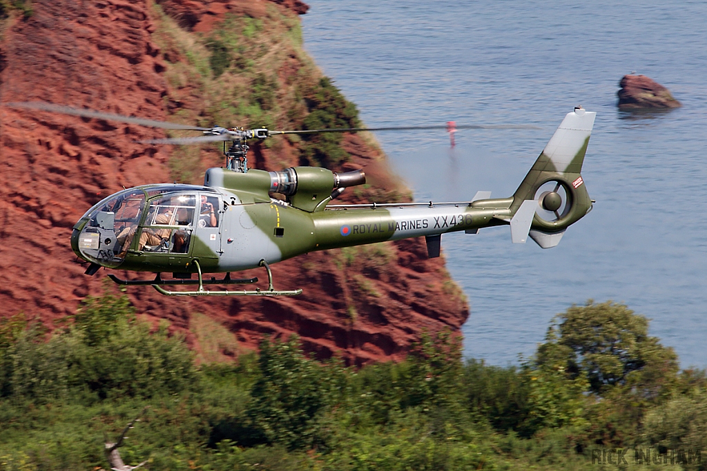 Westland Gazelle HT2 - XX436 - Royal Marines