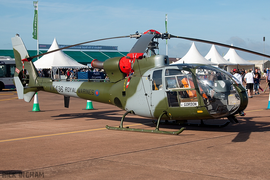 Westland Gazelle HT2 - XX436 - Royal Marines