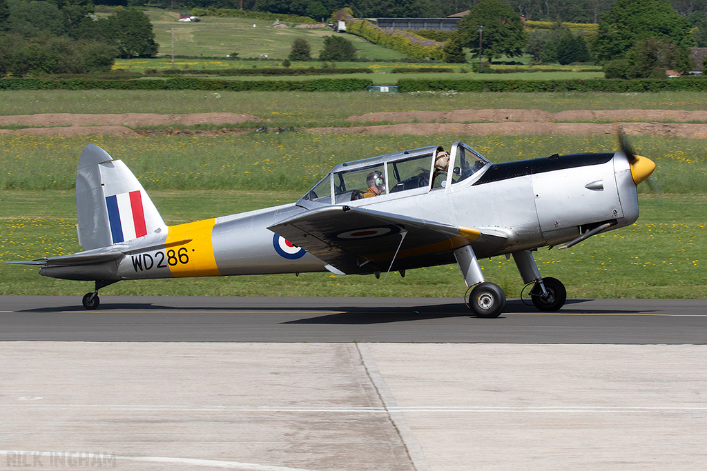de Havilland Chipmunk T10 - WD286 (G-BBND) - RAF