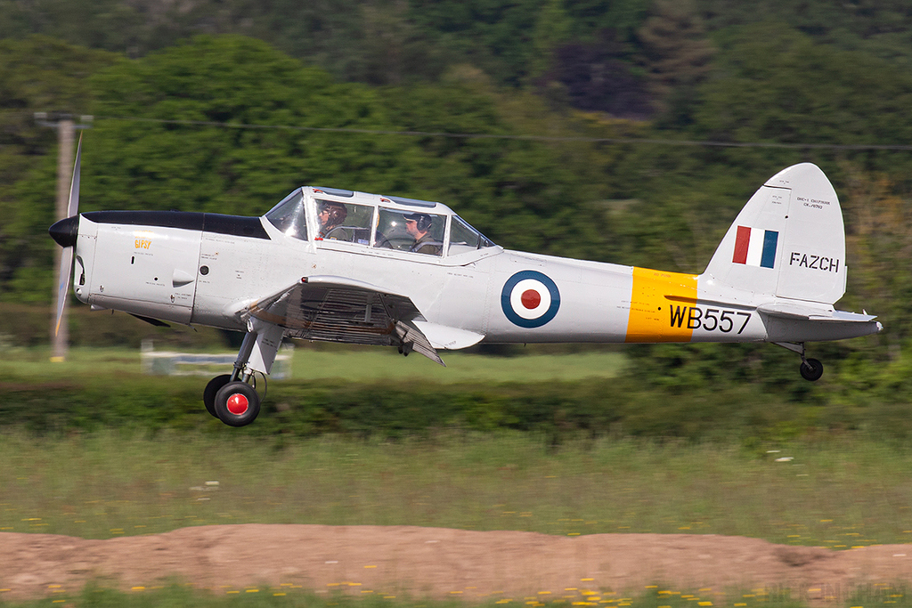 de Havilland Chipmunk T20 - WB557 (F-AZCH) - RAF