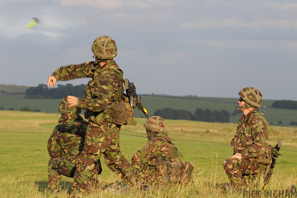 RAF Regiment