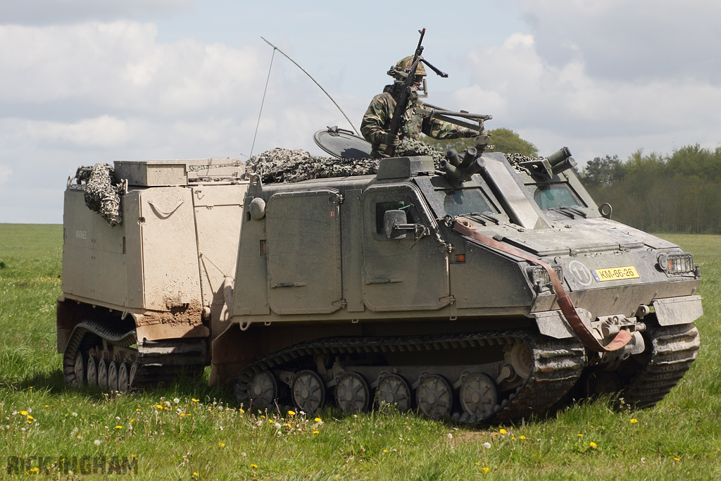 Viking - Dutch Marines