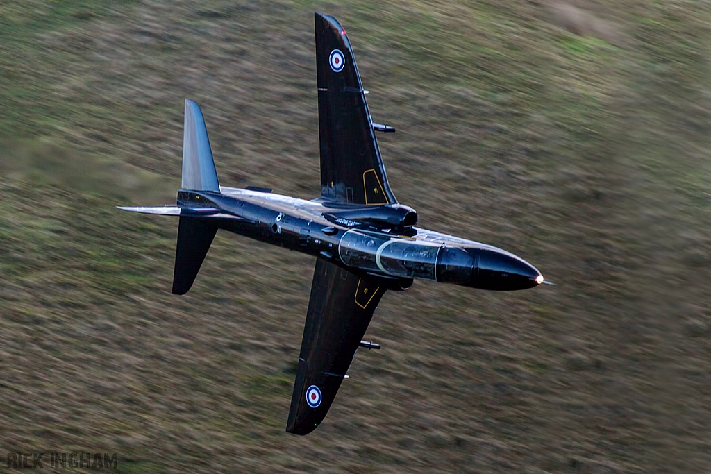 BAe Hawk T1 - XX339 - RAF