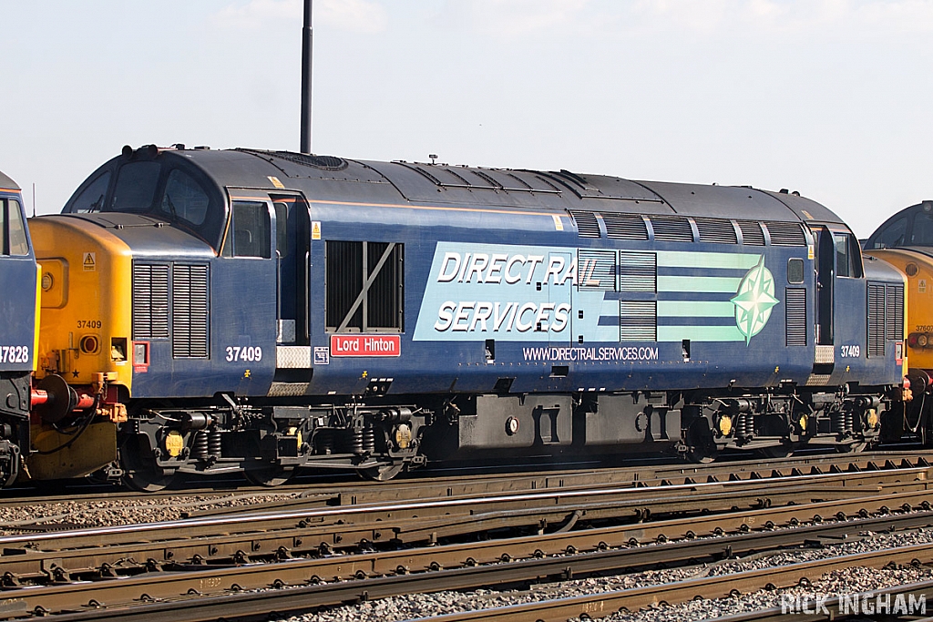 Class 37 - 37409 - Direct Rail Services