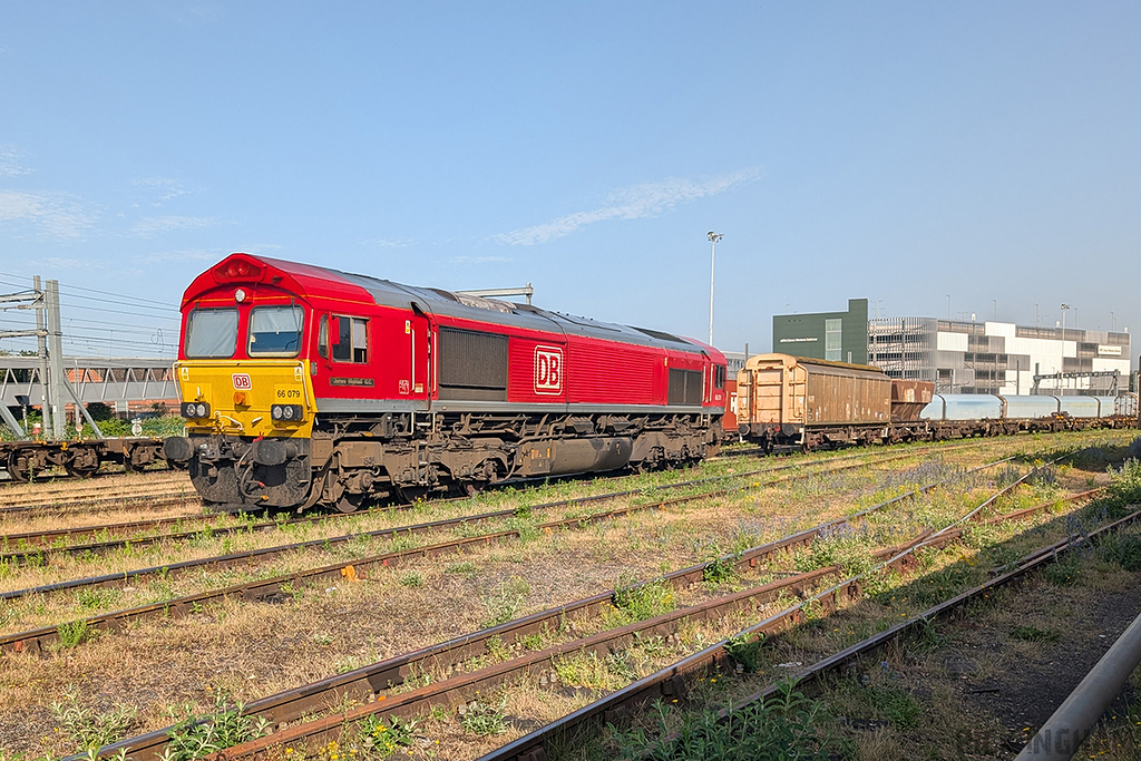 Class 66 - 66079 - DB Cargo