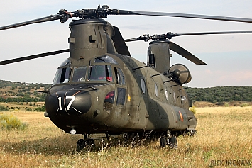 Boeing CH47D Chinook - HT.17-17 / ET-417 - Spanish Army