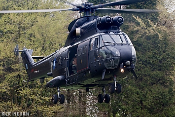 Eurocopter Puma HC2 - ZJ955 - RAF