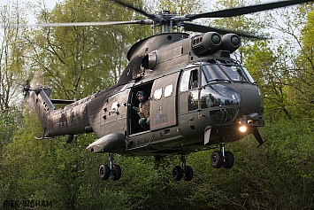Eurocopter Puma HC2 - XW229 - RAF