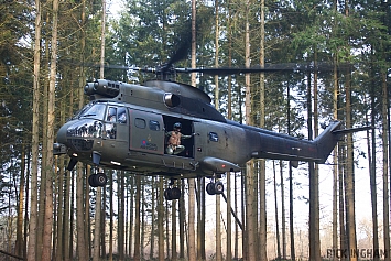Eurocopter Puma HC2 - ZJ954 - RAF