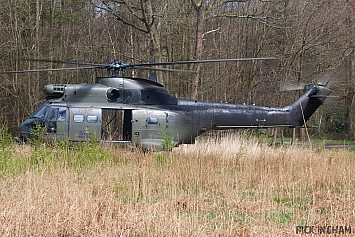 Eurocopter Puma HC2 - XW231 - RAF