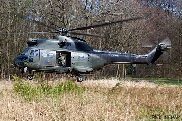 Eurocopter Puma HC2 - XW231 - RAF