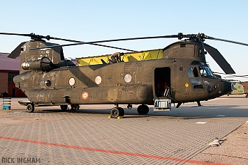 Boeing CH47D Chinook - HT.17-03 / ET-403 - Spanish Army