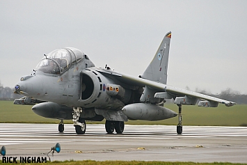 British Aerospace Harrier T12 - ZH665/113 - RAF