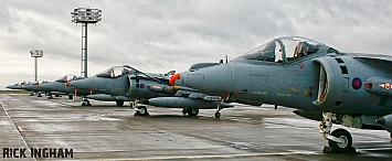 British Aerospace Harrier GR9 - ZD403 + ZG477 - RAF