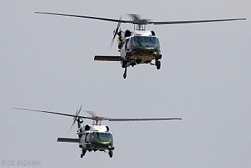 Sikorsky VH-60N Whitehawk - 163263 & 163261 - USMC