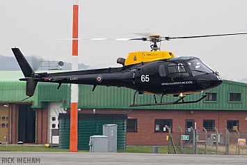 Eurocopter Squirrel HT1 - ZJ265 - DHFS/RAF