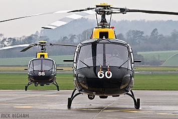 Eurocopter Squirrel HT1 - ZJ260 + ZJ255 - DHFS/RAF