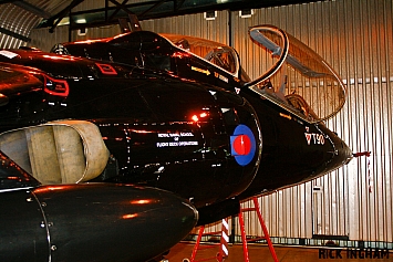 British Aerospace Sea Harrier T8 - ZD990/T90 - Royal Navy