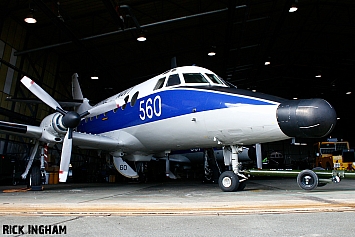 Scottish Aviation Jetstream T2 - XX481/560 - Royal Navy