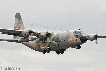 Lockheed C-130H Hercules - 502 - Omani Air Force