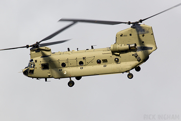 Boeing CH-47F Chinook - D-603 - RNLAF