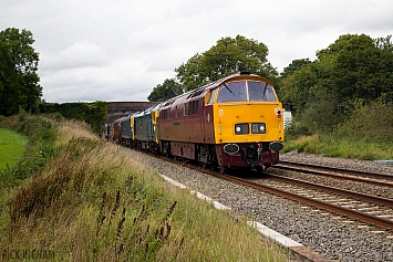 Class 52 'Western' - D1015 + 50035 + 50044 + D821 + 50049 + 50007