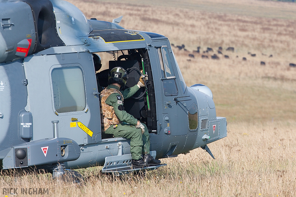 AgustaWestland AW159 Wildcat AH1 - ZZ393 - AAC