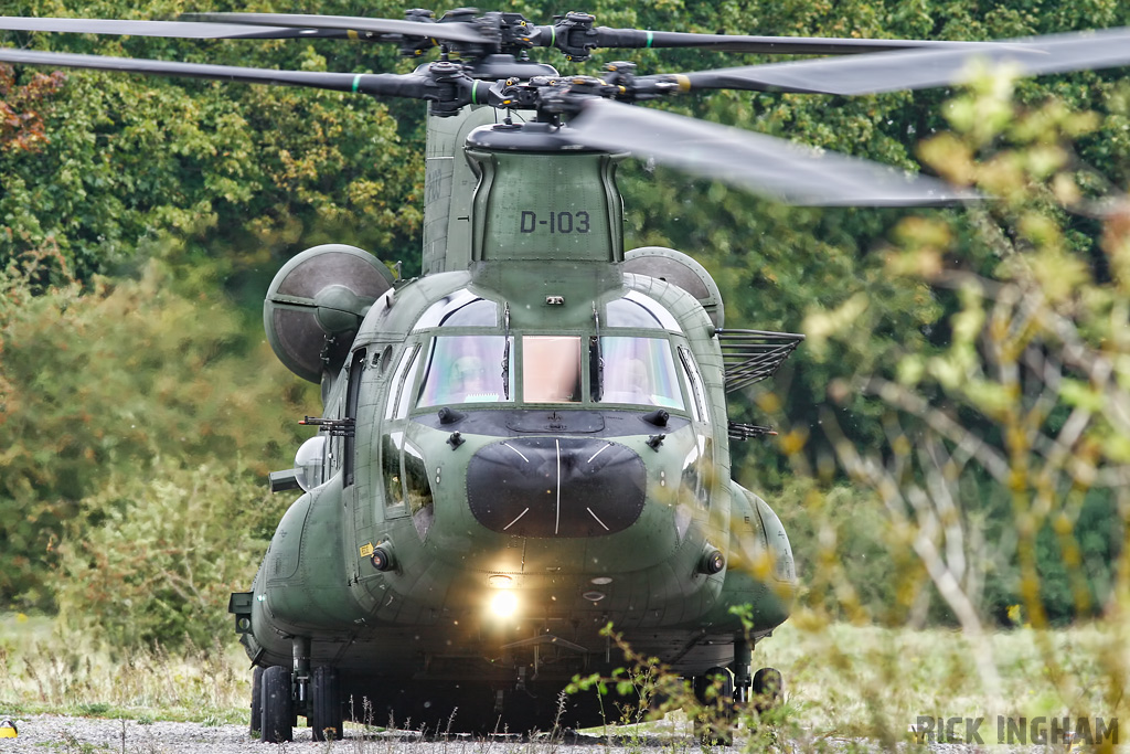 Boeing CH-47D Chinook - D-103 - RNLAF