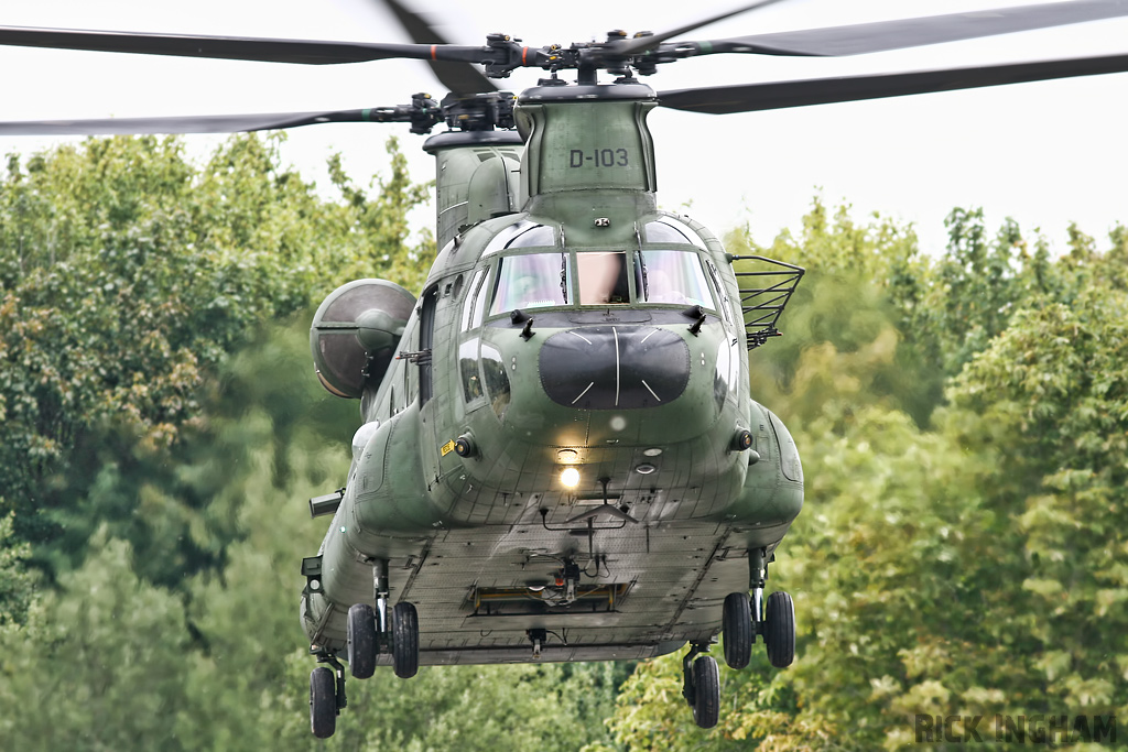 Boeing CH-47D Chinook - D-103 - RNLAF