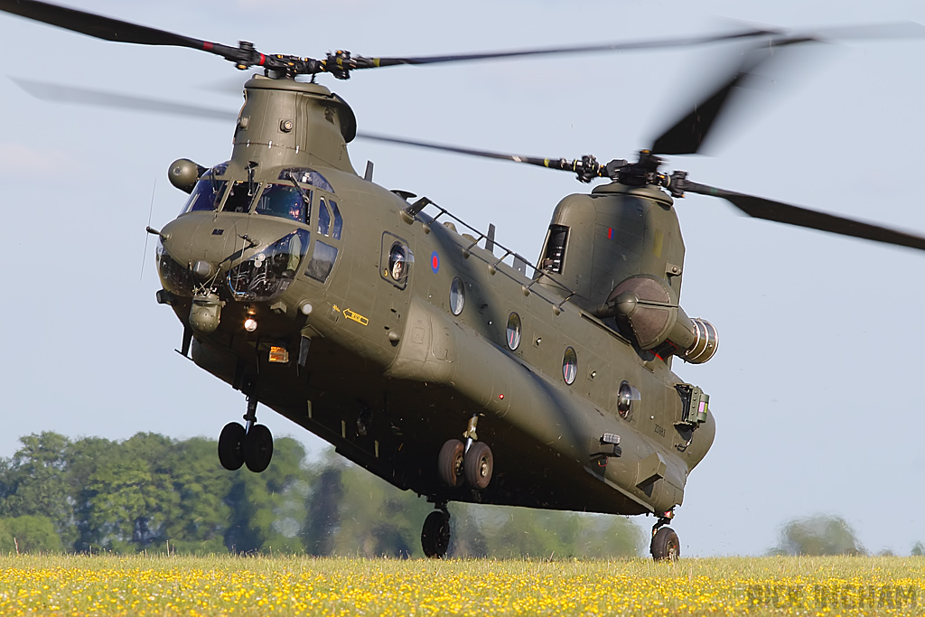 Boeing Chinook HC2 - ZD983 - RAF