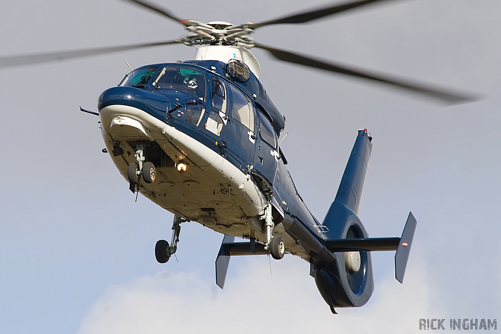 Eurocopter AS365N Dauphin II - ZJ782 - AAC