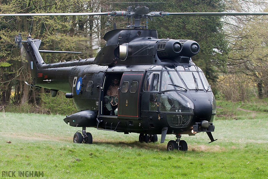 Eurocopter Puma HC2 - ZJ955 - RAF