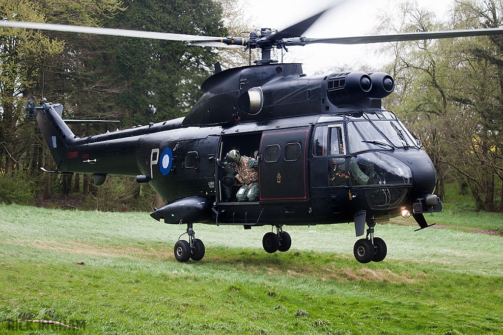 Eurocopter Puma HC2 - ZJ955 - RAF