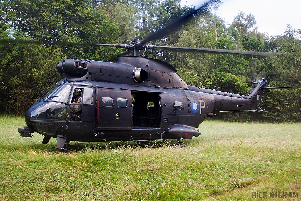 Eurocopter Puma HC2 - ZJ955 - RAF