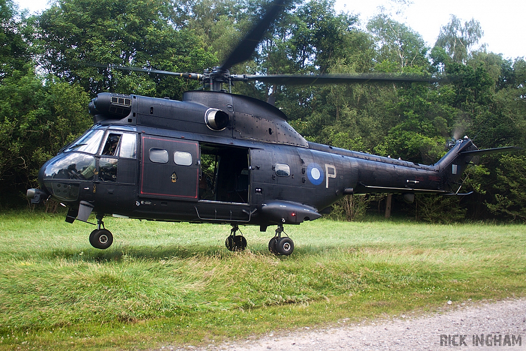 Eurocopter Puma HC2 - ZJ955 - RAF