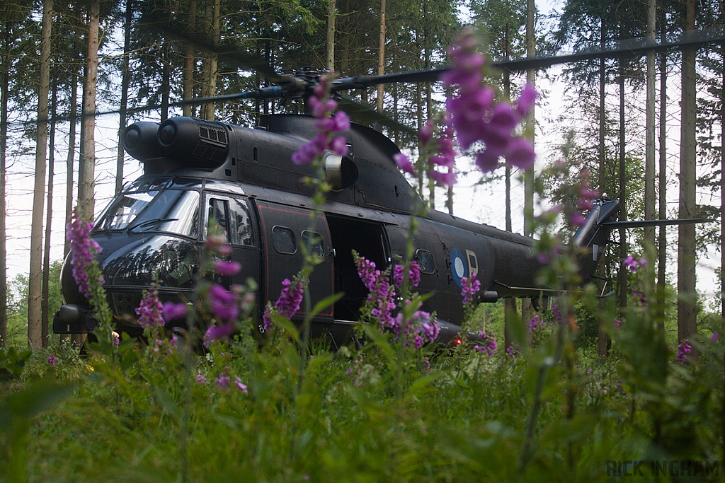 Eurocopter Puma HC2 - ZJ955 - RAF