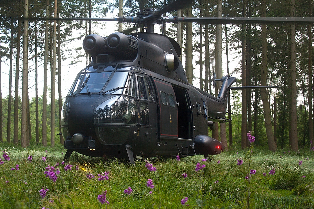 Eurocopter Puma HC2 - ZJ955 - RAF