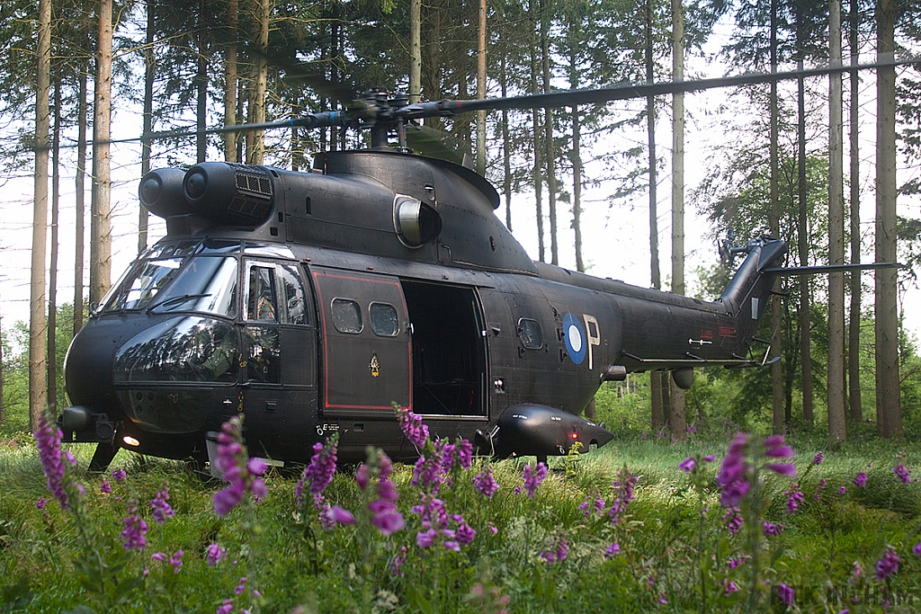 Eurocopter Puma HC2 - ZJ955 - RAF