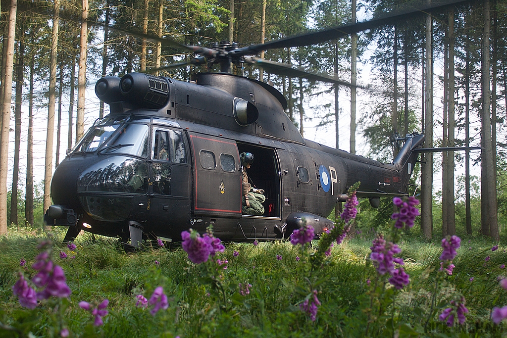 Eurocopter Puma HC2 - ZJ955 - RAF