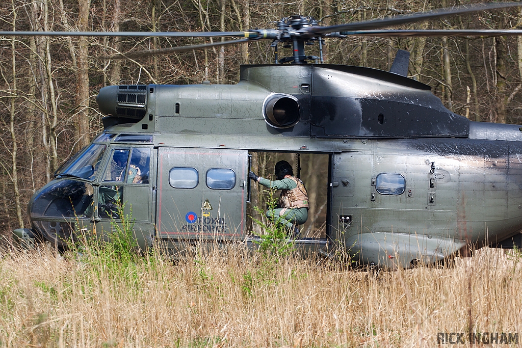 Eurocopter Puma HC2 - XW231 - RAF