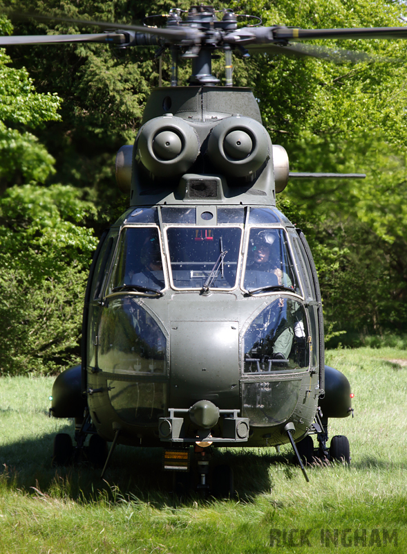 Eurocopter Puma HC2 - XW214 - RAF