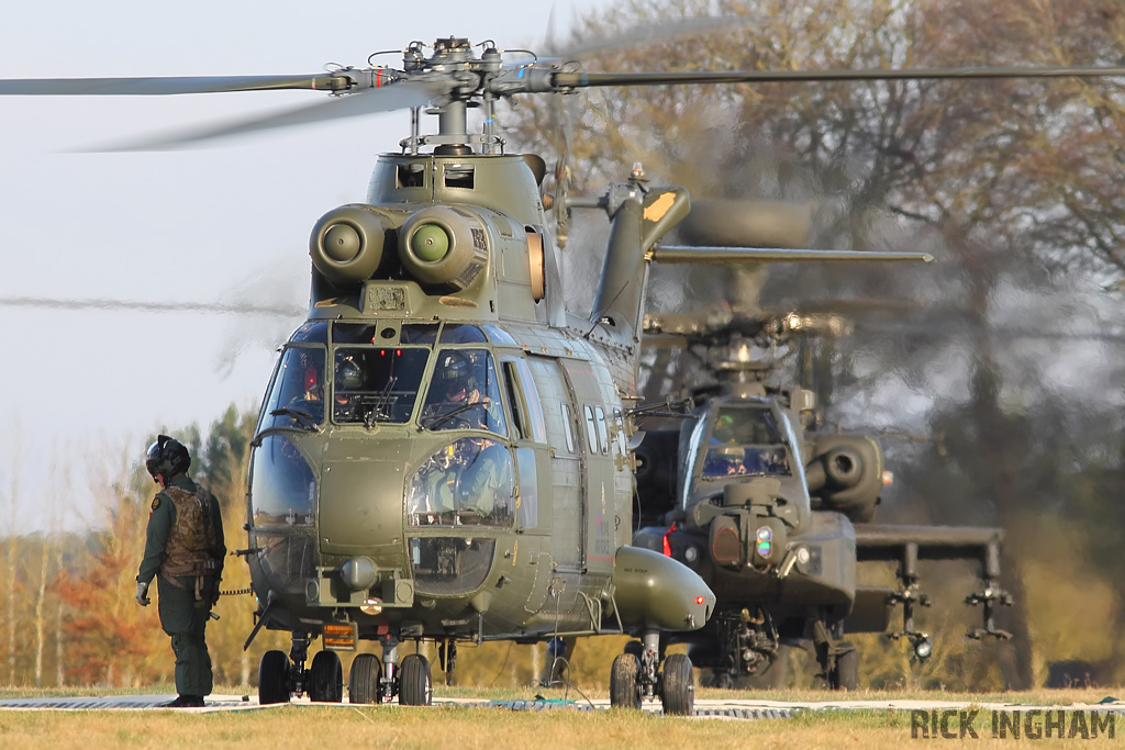 Westland Puma HC1 - XW210 - RAF