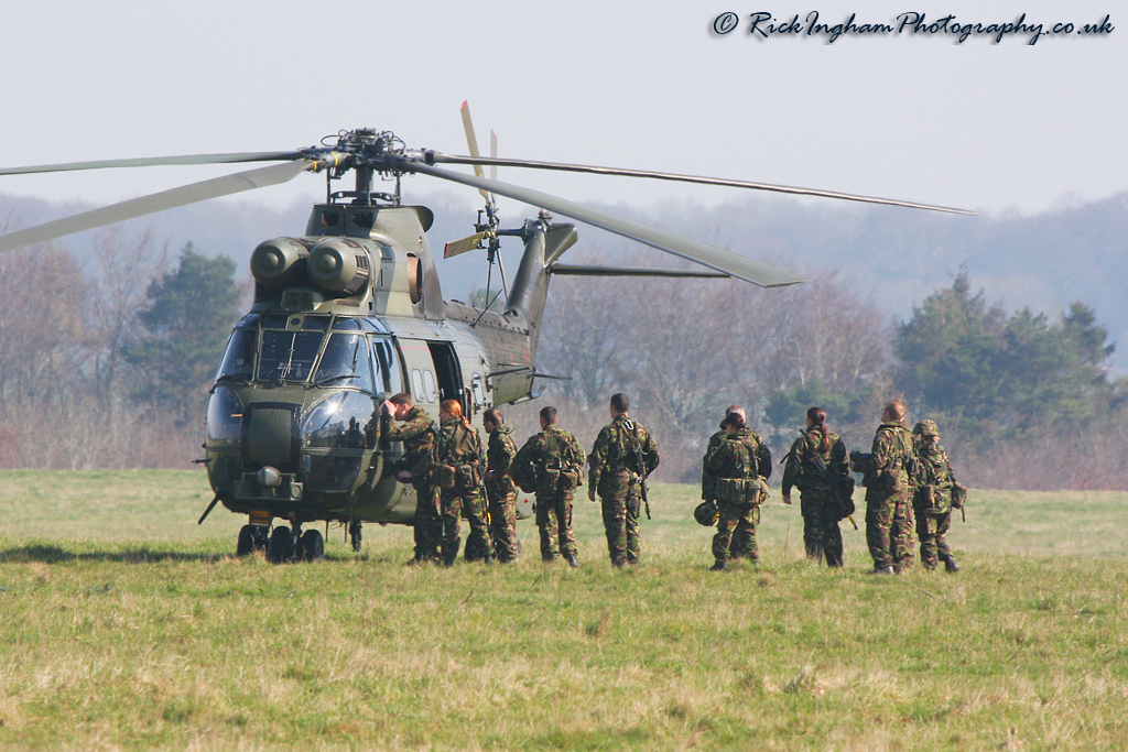 Westland Puma HC1 - ZJ954 - RAF