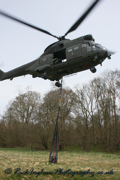 Westland Puma HC1 - ZJ954 - RAF