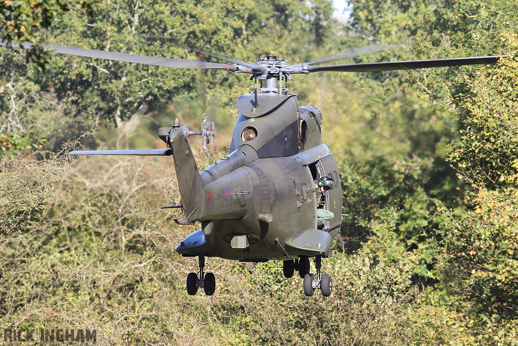 Westland Puma HC1 - ZJ955 - RAF