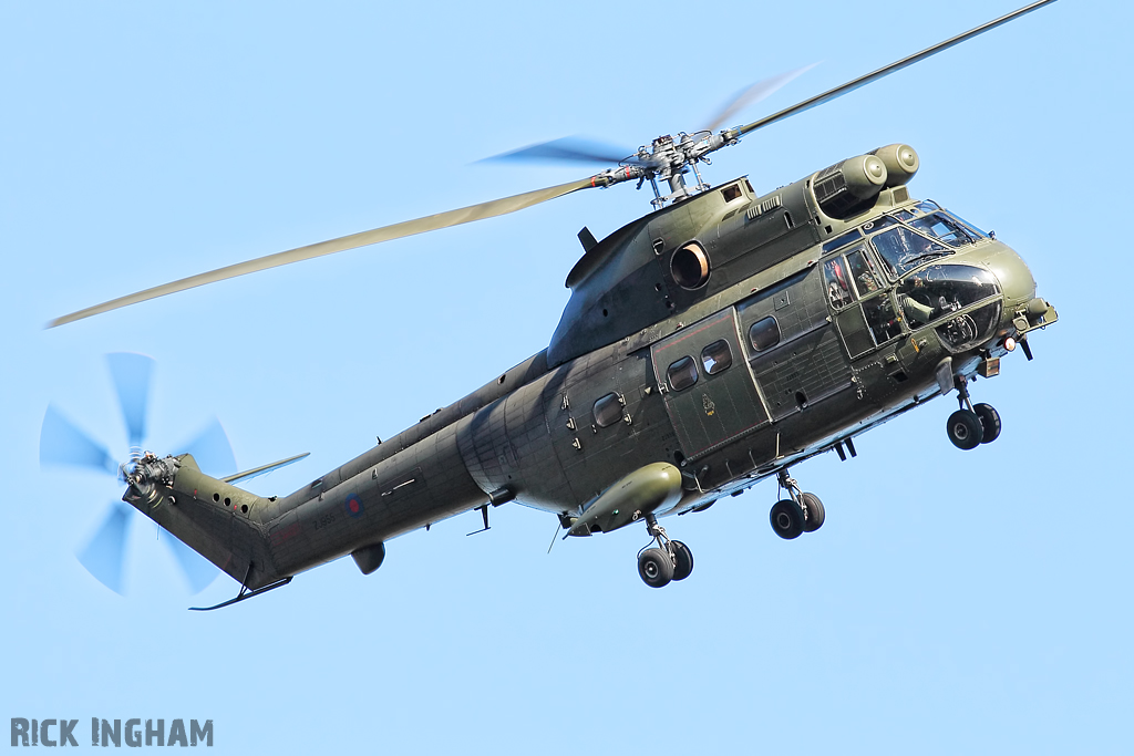 Westland Puma HC1 - ZJ955 - RAF