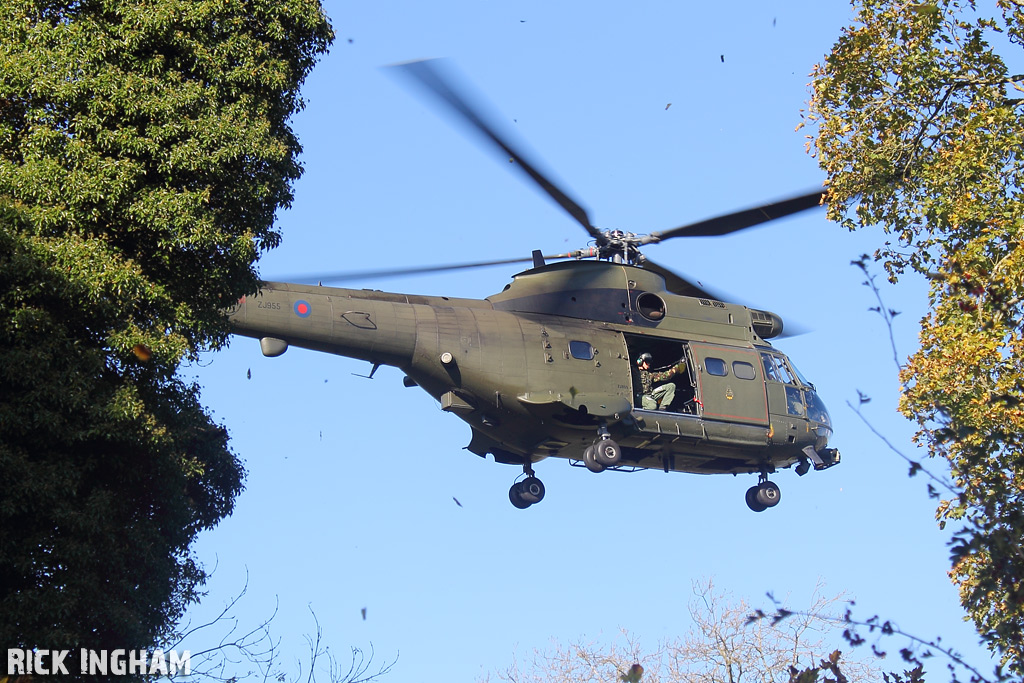 Westland Puma HC1 - ZJ955 - RAF