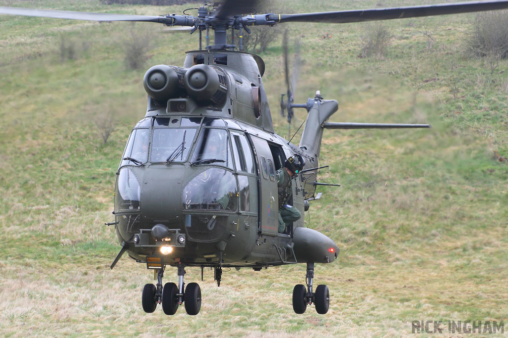 Westland Puma HC1 - XW219 - RAF