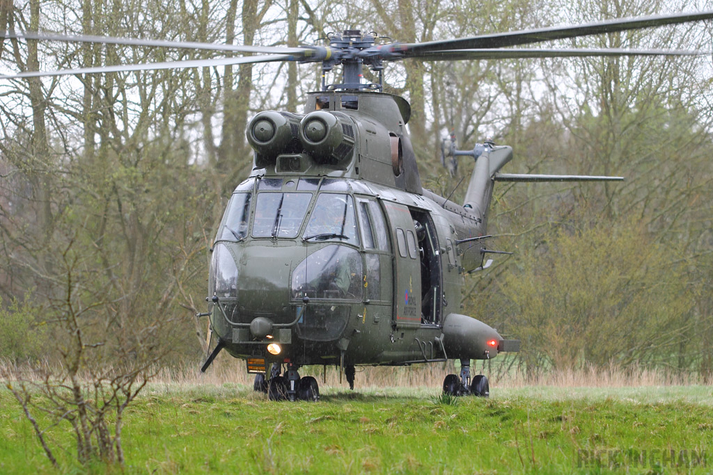 Westland Puma HC1 - XW222 - RAF